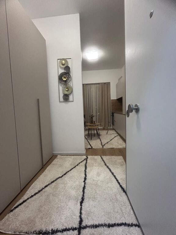 Monolocali moderno in affitto – Fresk -  Prezzo: 27.000 lek/mese !