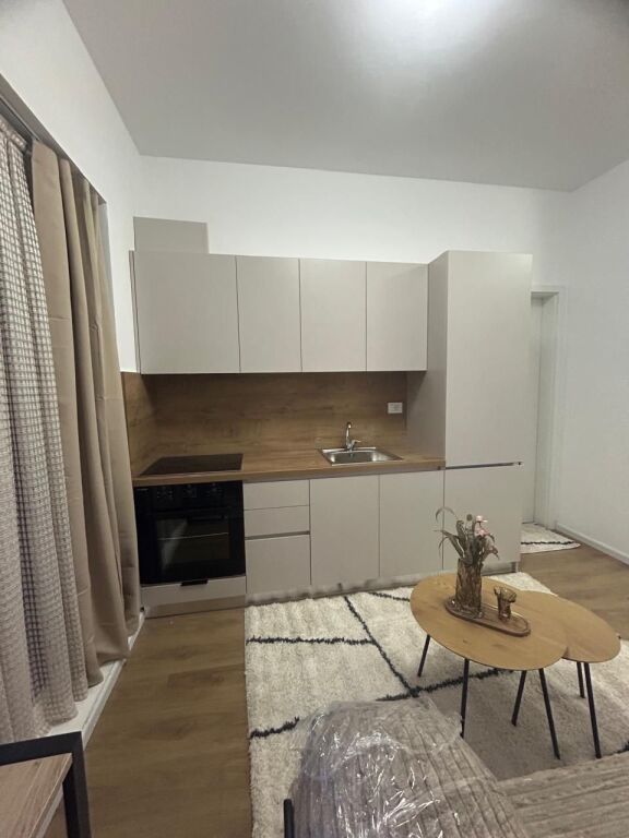 Monolocali moderno in affitto – Fresk -  Prezzo: 27.000 lek/mese !