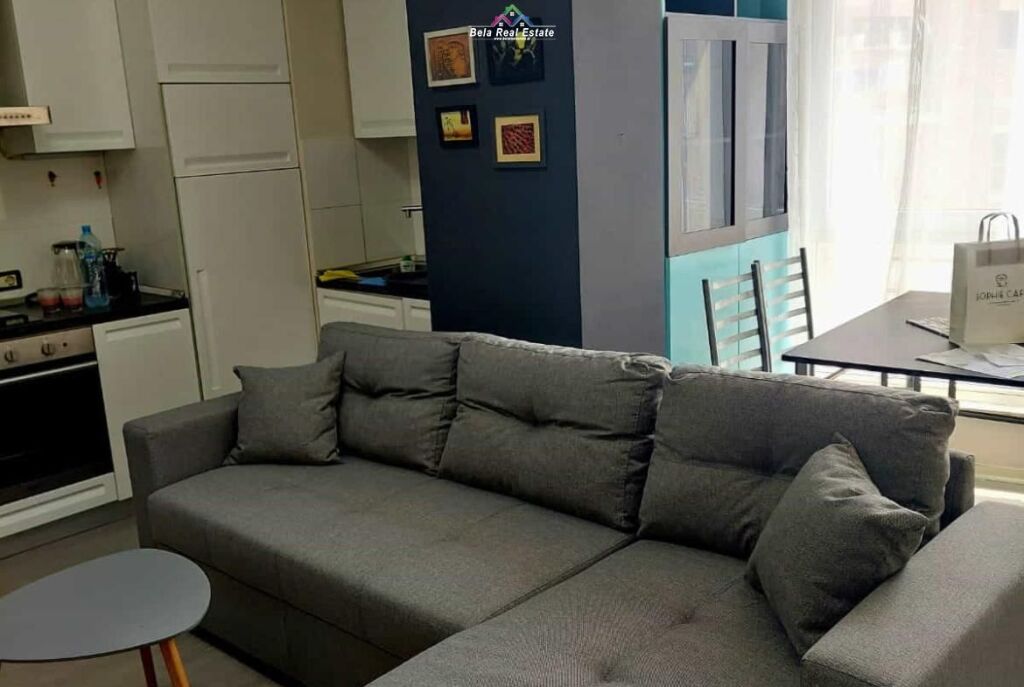 Appartamento In Affitto 1+1 In Via Elbasani(ID B2101668) Tirana