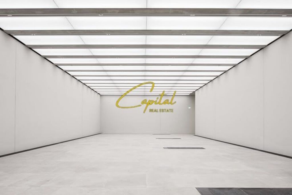 BUSINESS PREMISES FOR RENT 150 M2 FORMER PARK 100,000 LEKE