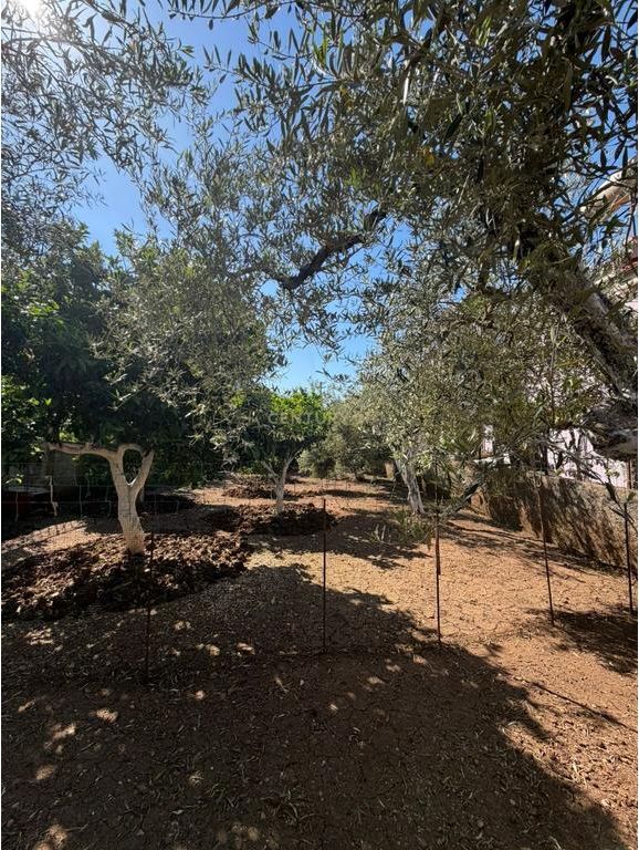 MIDIS JONIT &amp; ADRIATIKUT – PRONË QË NUK DEL DY HERË NË SHITJE, VLORE!