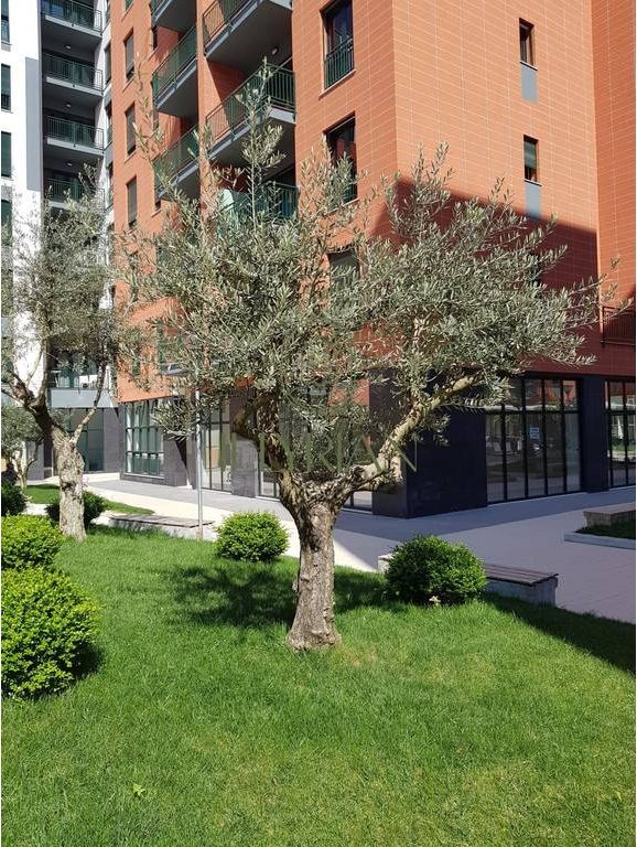 Locale commerciale in vendita a Green City – Tirana