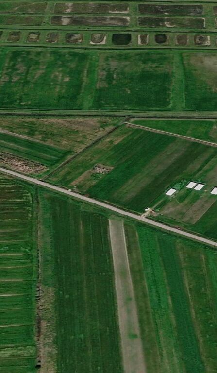 SHITET TOKE NE GOLEM, KAVAJE