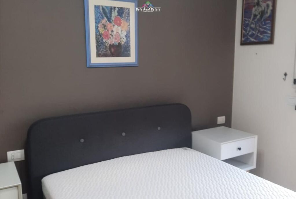Apartament Me Qera 1+1 Tek Rruga E Barrikadave (ID B2101671) Tirane