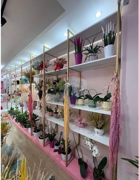 Business for sale on Bardhyl Street, Tirana 🏪