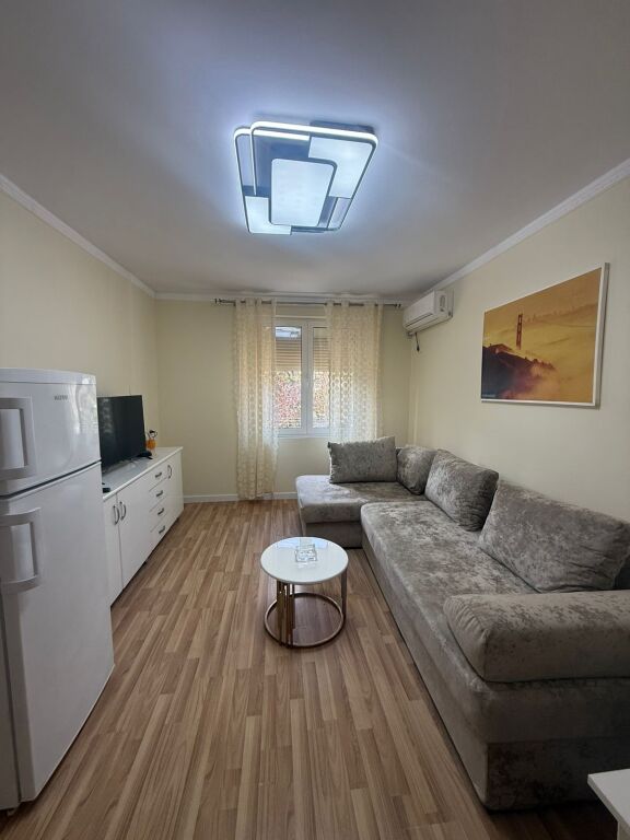 Apartment 1+1 for rent near Dinamo Stadium