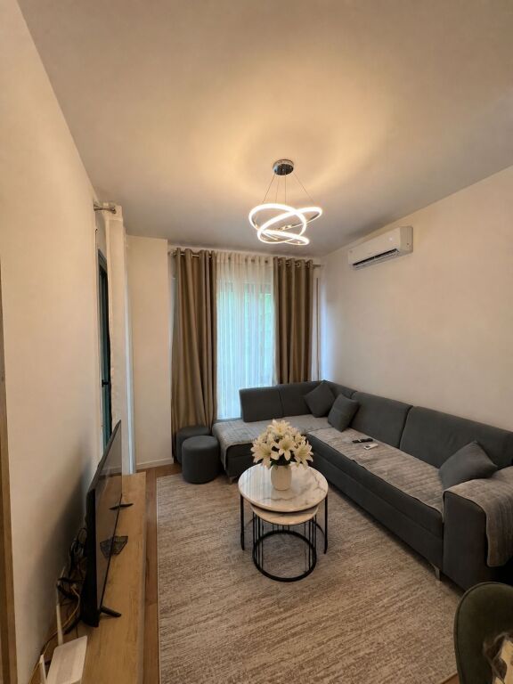 May 5, fully furnished 1+1 apartment for rent!