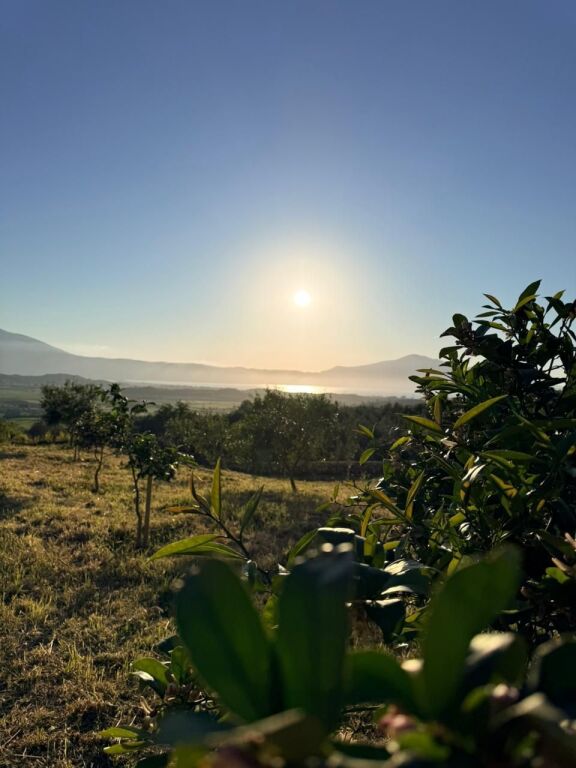 TOKË NË SHITJE NË TRAGJAS, VLORË 🌿