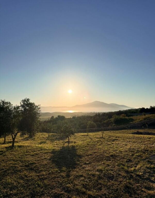 TOKË NË SHITJE NË TRAGJAS, VLORË 🌿