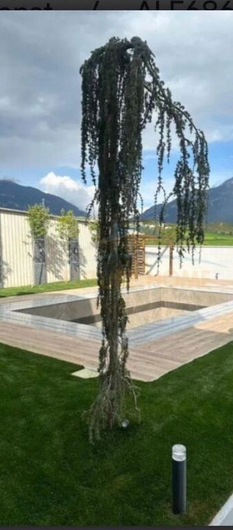 Affitto, Villa su 2 piani + Piscina + Kalçeto, Paskuqan