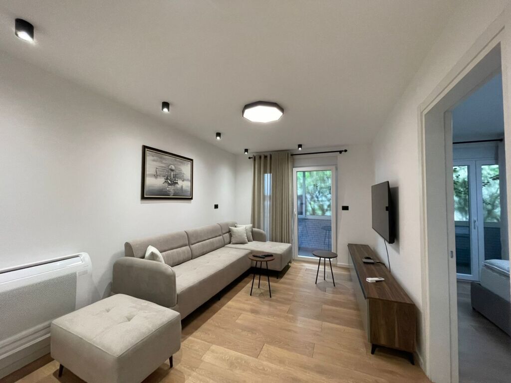 Apartment 1+1 for rent Kinostudio