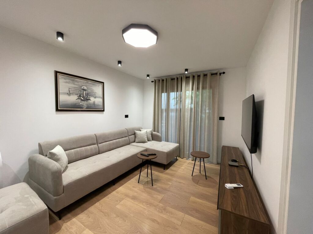 Apartment 1+1 for rent Kinostudio