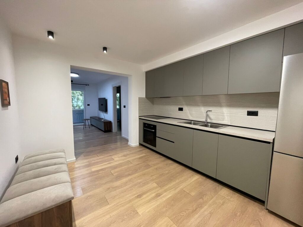 Apartment 1+1 for rent Kinostudio