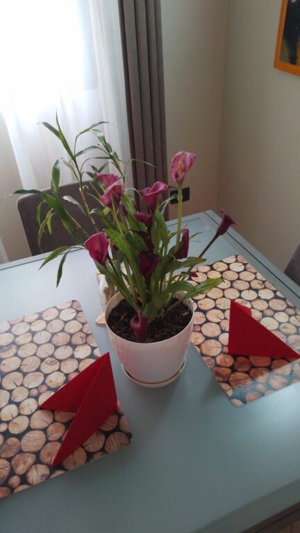 Jepet Me Qera Apartament 1+1+1 Ballkon