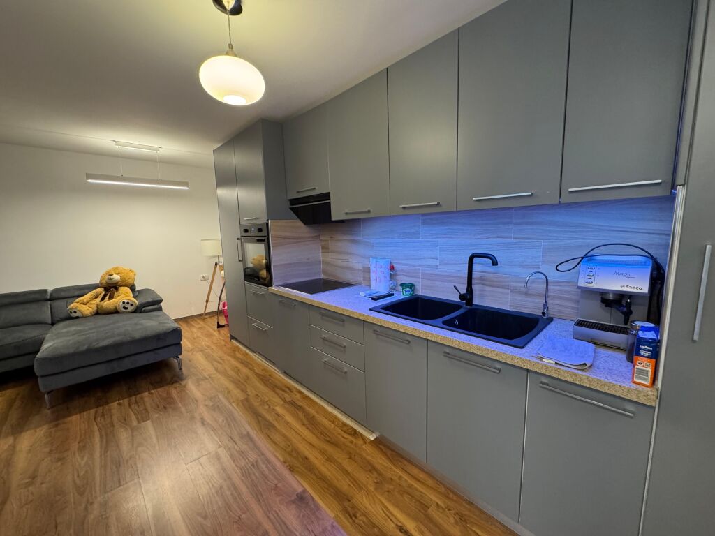 Apartment 1+1 for rent