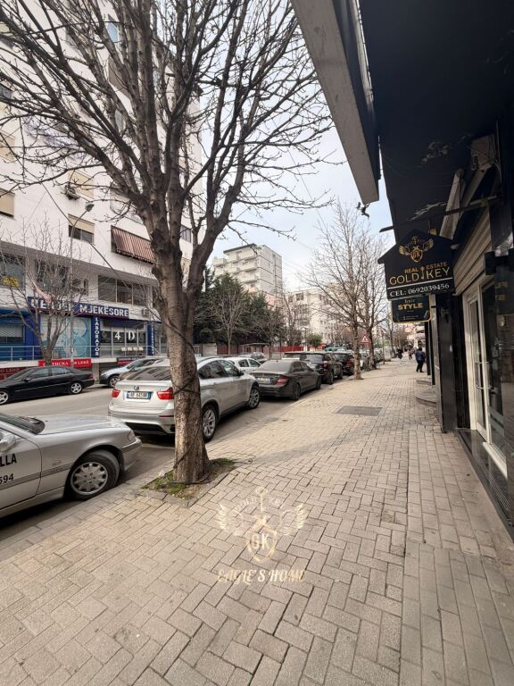 Business Premises for Rent Aleksander Goga Street
