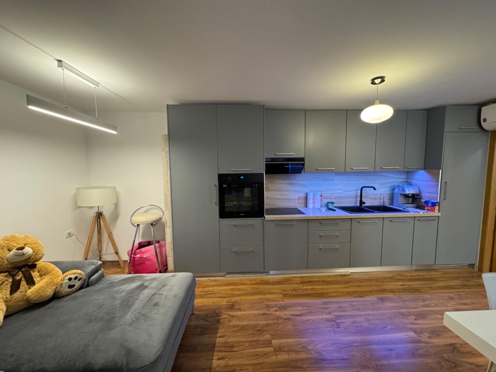 Apartment 1+1 for rent