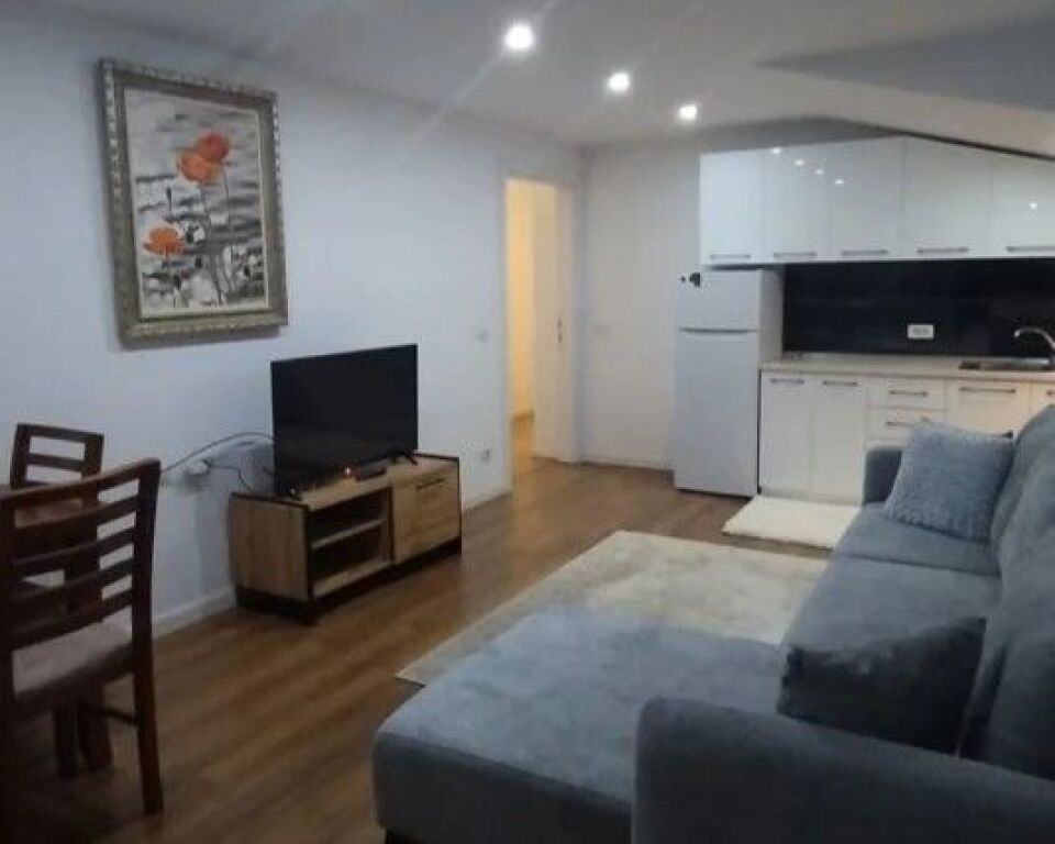 Apartament 1+1 per qera Tek Globe !