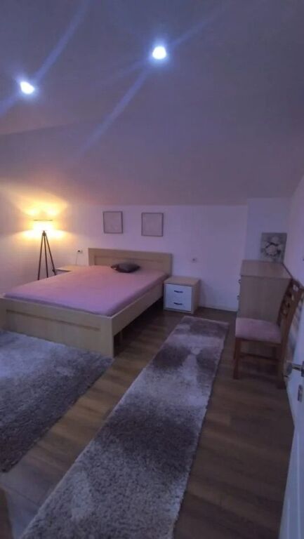 Apartament 1+1 te Globe per qira