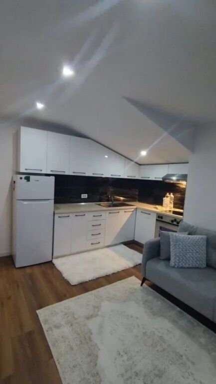 Apartament 1+1 te Globe per qira