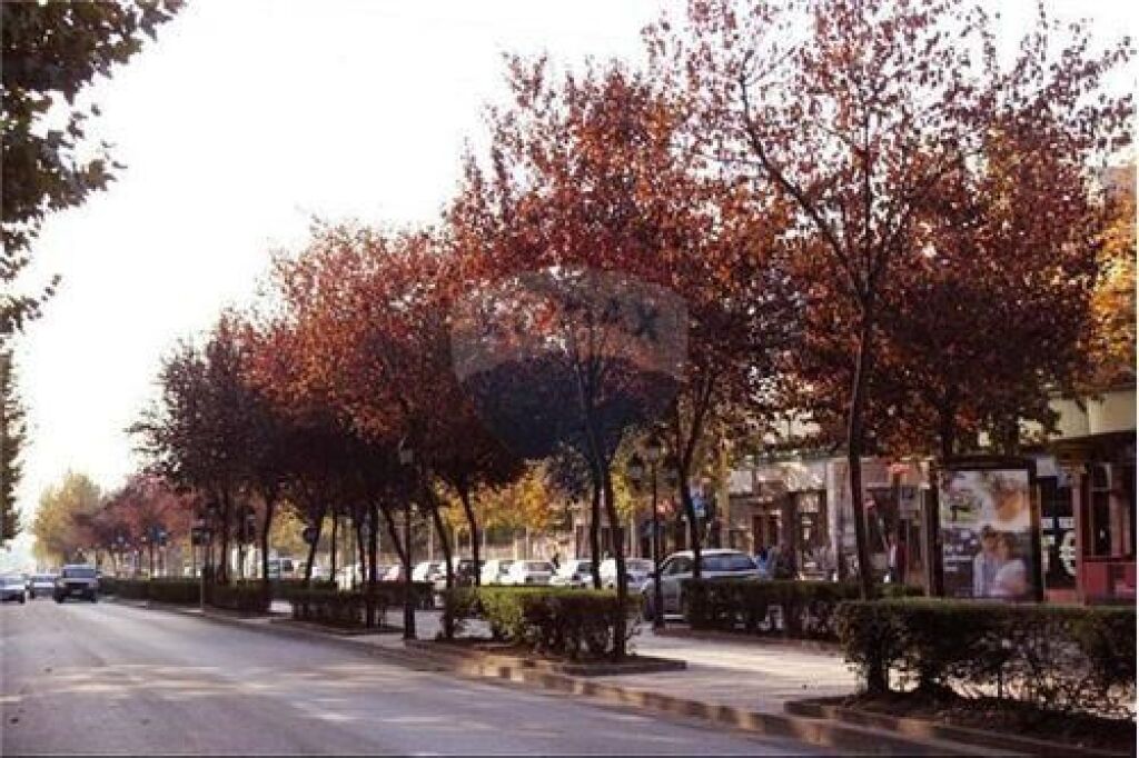 Business premises for rent on Kavaja Street – 500€/month