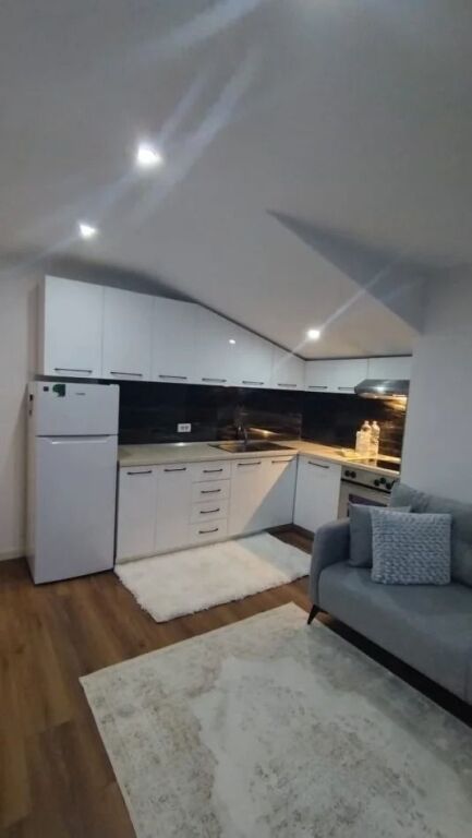 Apartament 1+1 per qera Tek Globe !