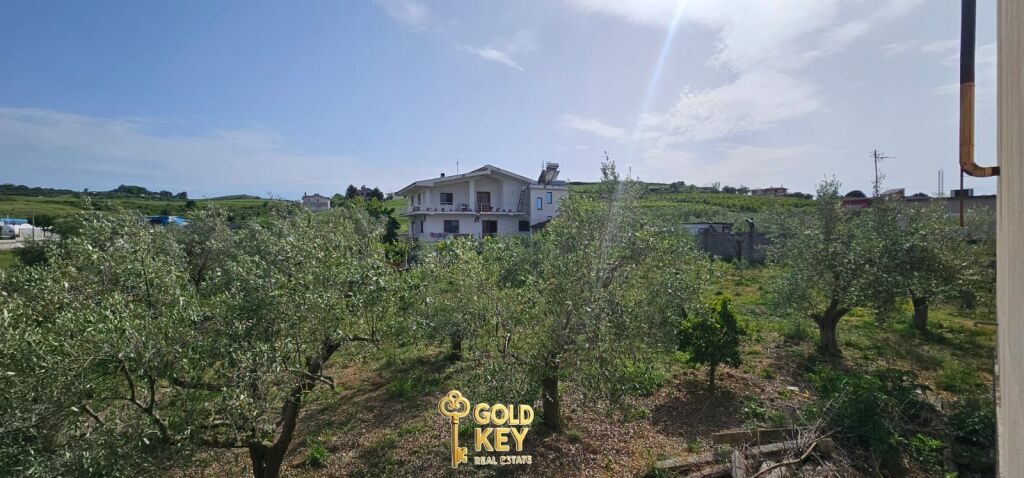 🏡 SHITET 2 VILA ME 6000M2 TOKE  1000m2 TOKE ARE PJEZE SHIJAK
