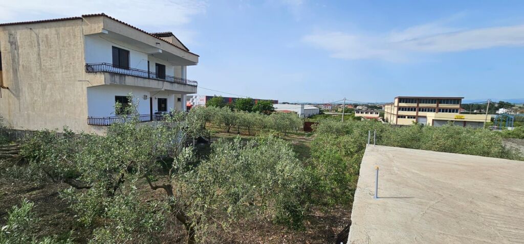 🏡 SHITET 2 VILA ME 6000M2 TOKE  1000m2 TOKE ARE PJEZE SHIJAK
