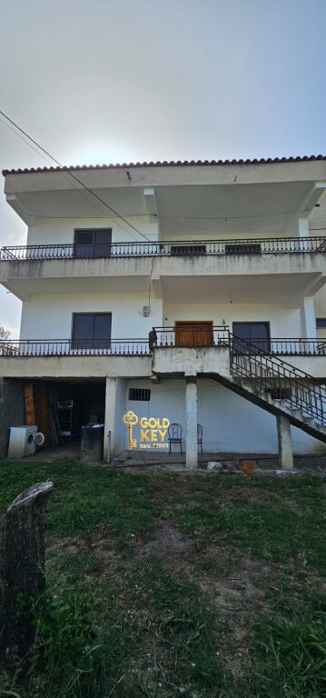 🏡 SHITET 2 VILA ME 6000M2 TOKE  1000m2 TOKE ARE PJEZE SHIJAK
