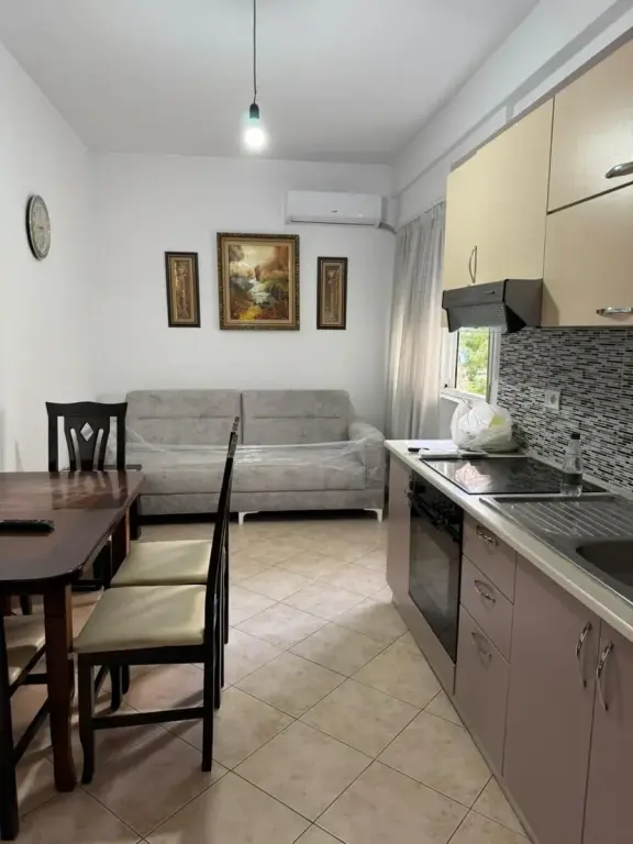Apartment for rent Tirana 1+1 (55 m²) Commune of Paris
