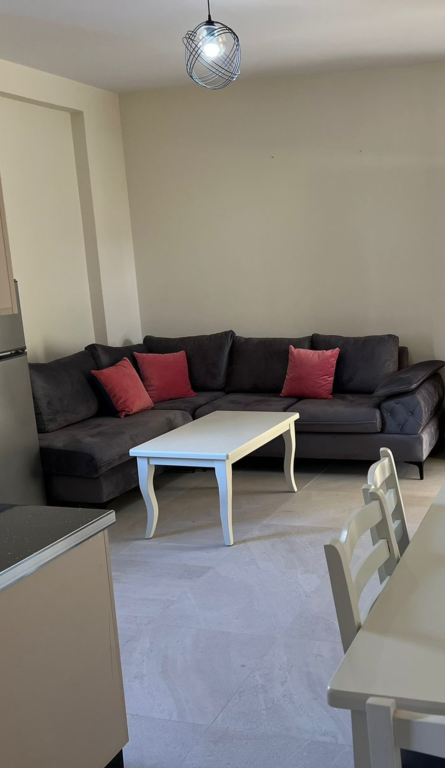 Apartment for rent 1+1 United School