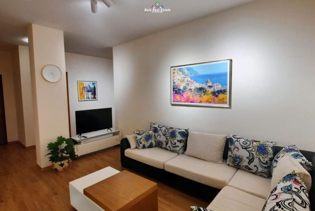 Apartament Me Qera 2+1 Tek Liqeni (ID B2201024) Tirane.