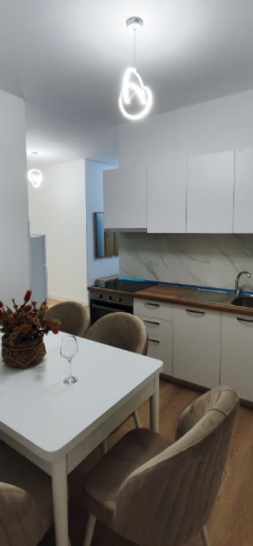 Apartment 1+1 for rent – Myslym Shyr (Ilam Alla St.)
