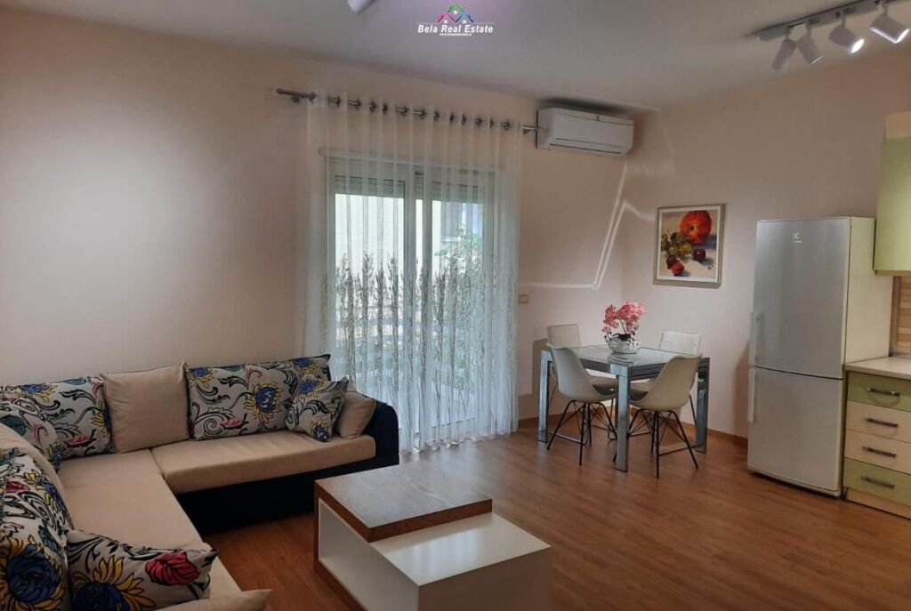 Apartament Me Qera 2+1 Tek Liqeni (ID B2201024) Tirane.