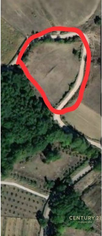 WE SELL LAND IN PETRELË