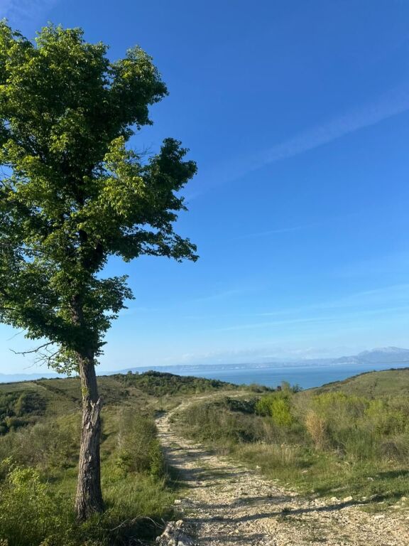 Terreno in vendita con vista mare a Shetaj, Capo di Rodon!