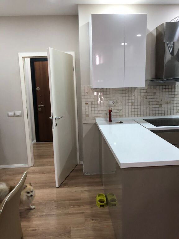 3+1, at hotel radison dry lake, 850 euros, extra parking offered