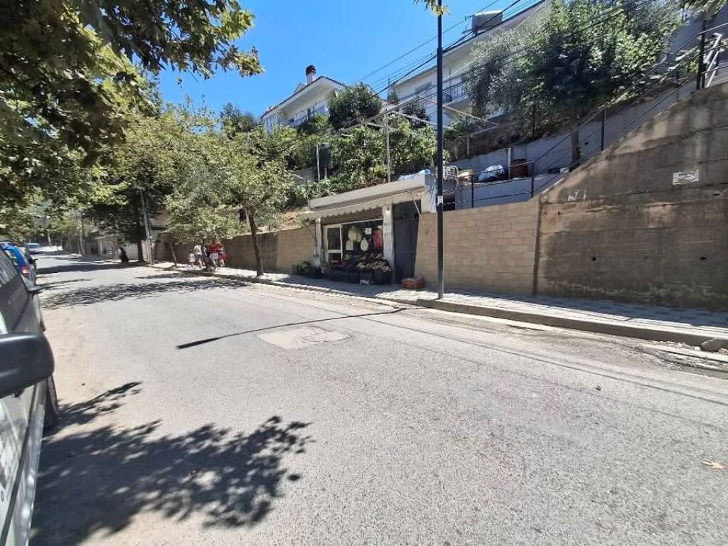 BUSINESS PREMISES FOR RENT IN FRESK - THESARI STREET!
