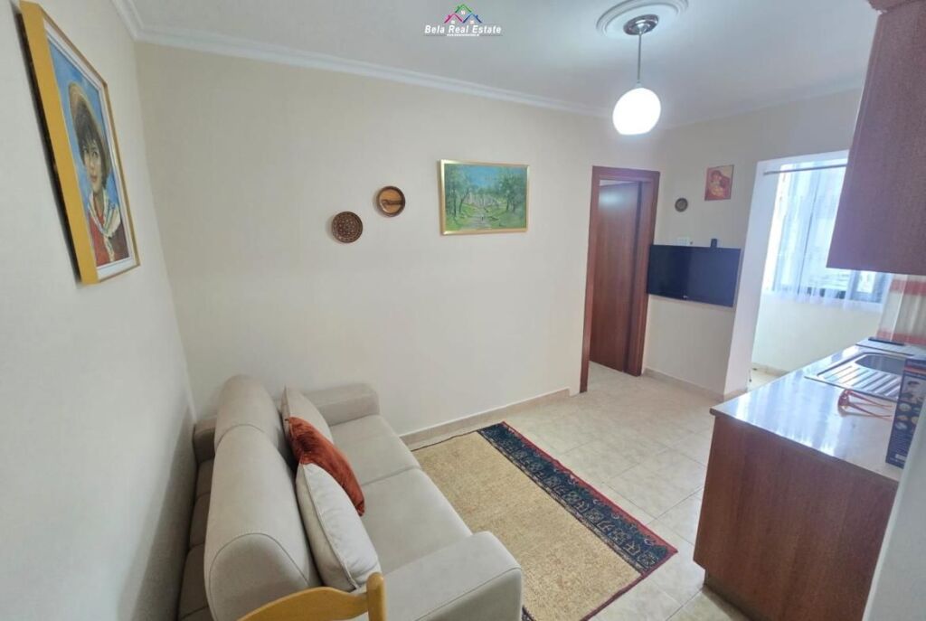 Apartment For Rent 1+1 Near Ballet School (ID B211465) Tirana