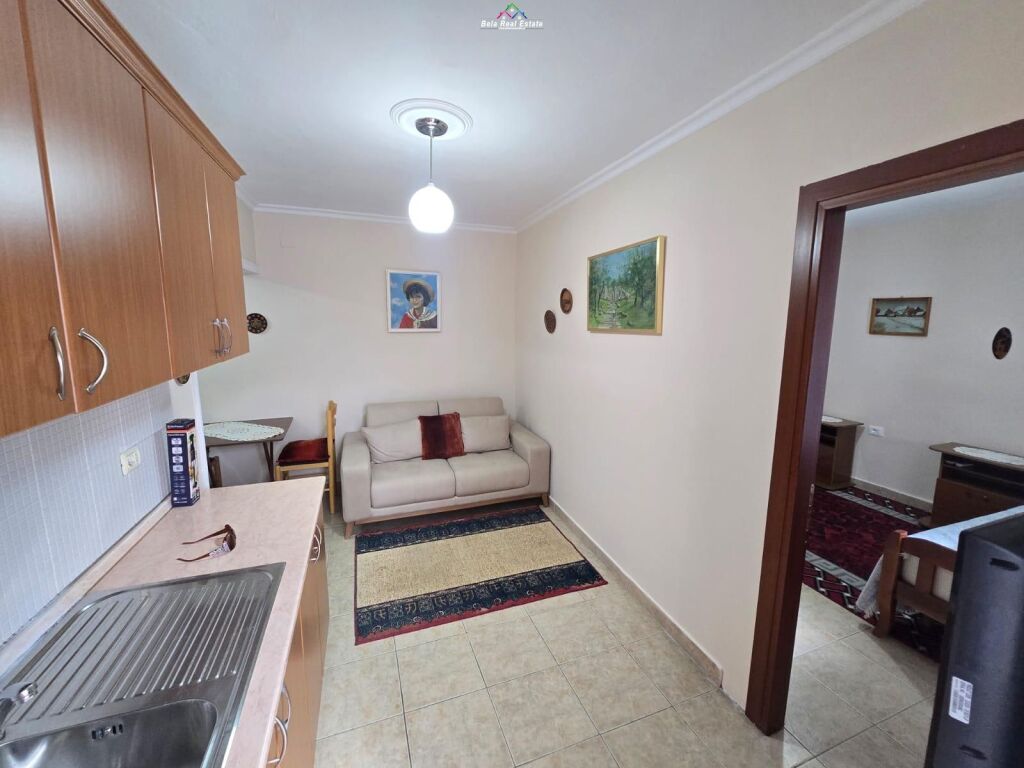 Apartment For Rent 1+1 Near Ballet School (ID B211465) Tirana