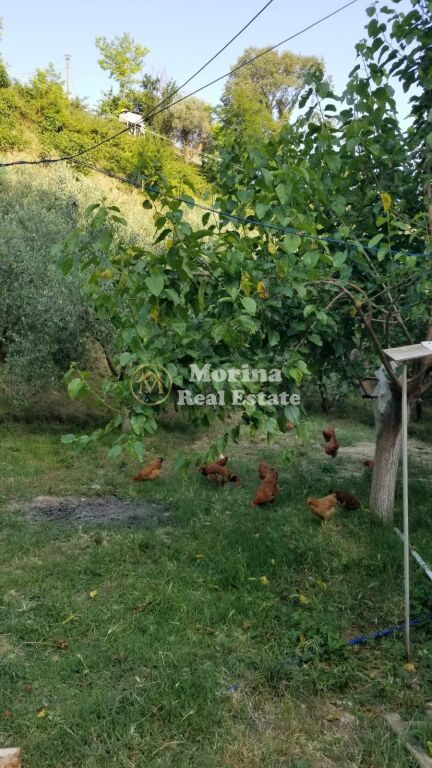 Qera | Shtëpi private 2 + 1 | Picallë | 600 €/muaj