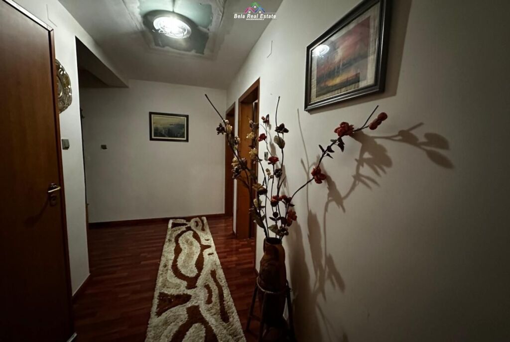 Apartment For Rent 2+1 At Mine Peza (ID B221426) Tirane