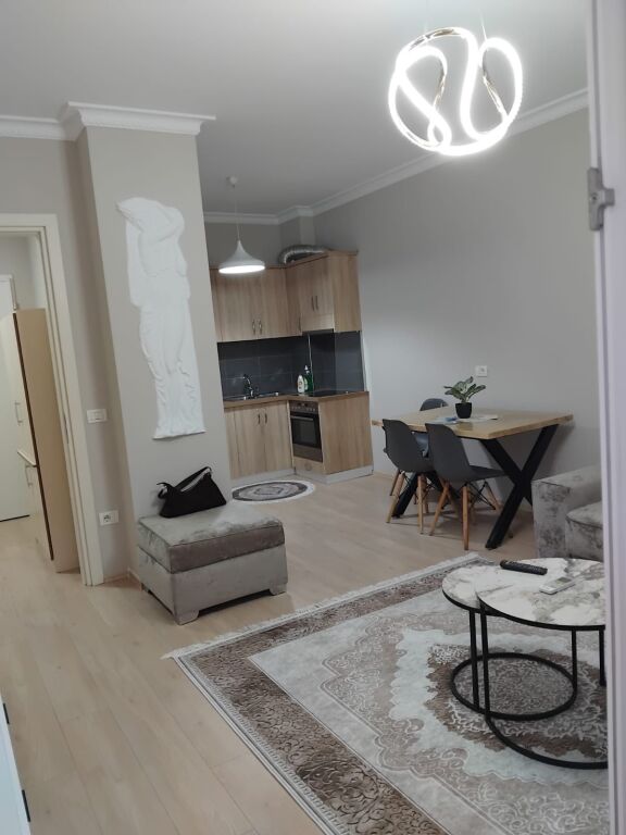 Apartment 1+1 for rent Ali Demi