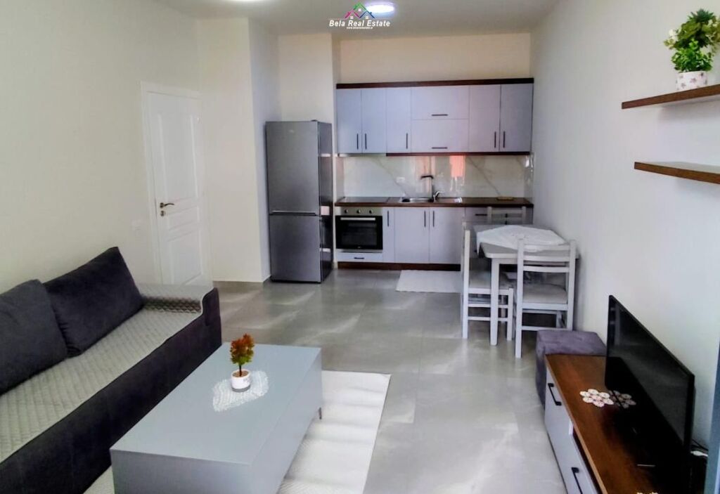 Apartment For Rent 1+1 At ASL Complex 1 (ID B2101713) Tirana