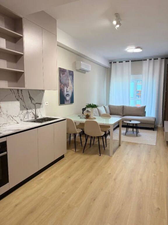 APPARTAMENTO IN AFFITTO 1+1 ALI DEMI 45.000 LEKE FH-74408
