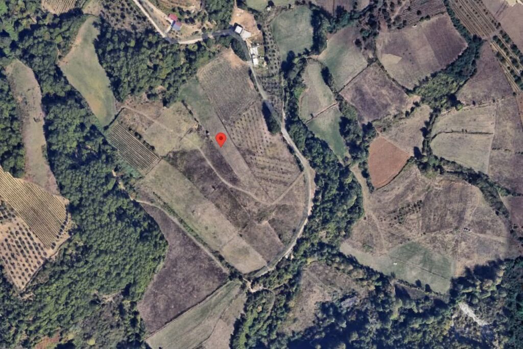 SHITET TOKE 11300 M - DAIAS, TIRANE