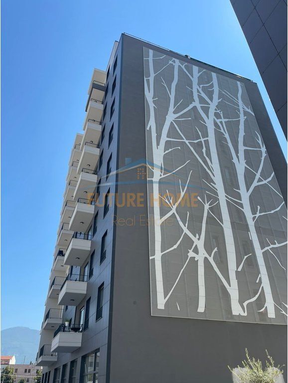 Qera, Apartament 1+1+Post Parkim, Bulevardi i Ri, Tiranë.