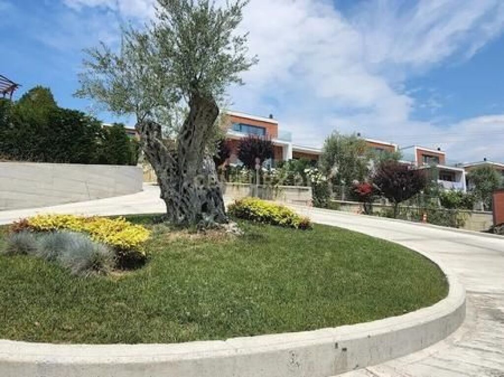 Vile ne Rezidencen Olive Grove!