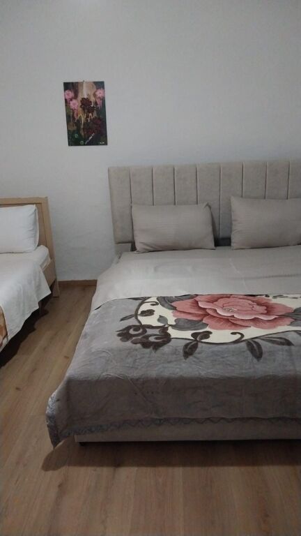 Apartment 1+1 For Rent
