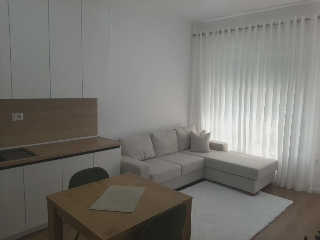 Apartment 1+1 for rent